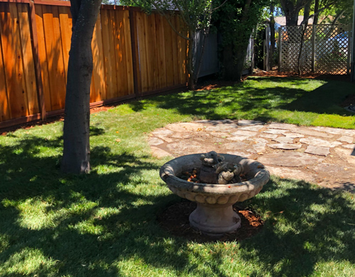 Backyard overhaul with grass and bark here in Napa