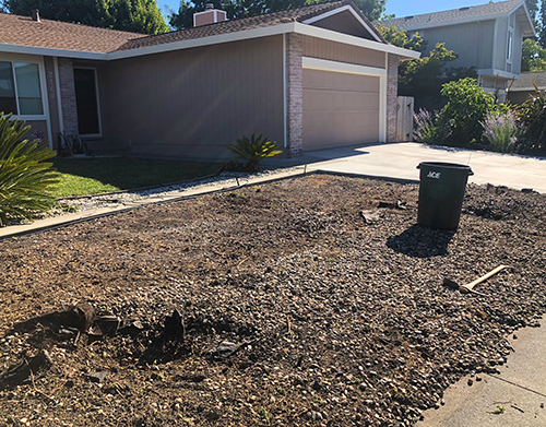 A blank patch of ground where the Juniper & Jasmine were here in Napa