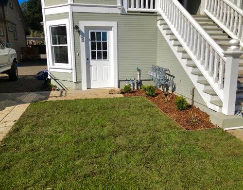 Fresh sod install with planter areas next to the buildings