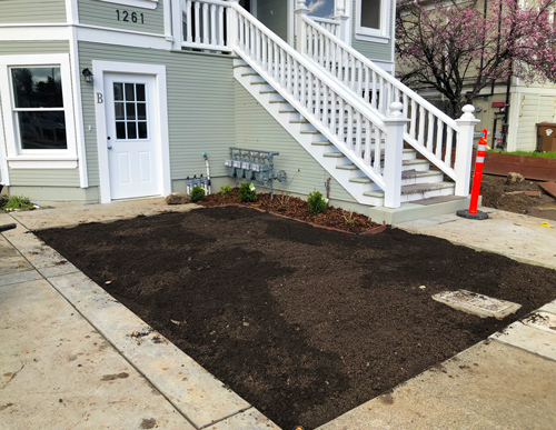 Benderboard, bark, plants & sod installed in downtown Napa