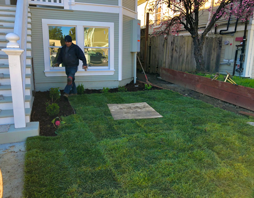 Installing irrigation for the new project here in the Napa Valley