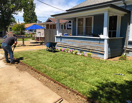 Grass installed, preparing for a strip of bark