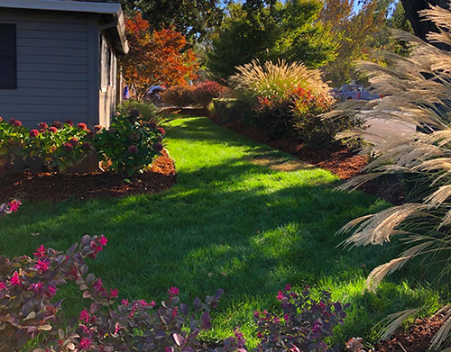 A new bark and plant install in west Napa