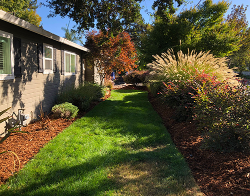 Bark install and plants planted in Napa