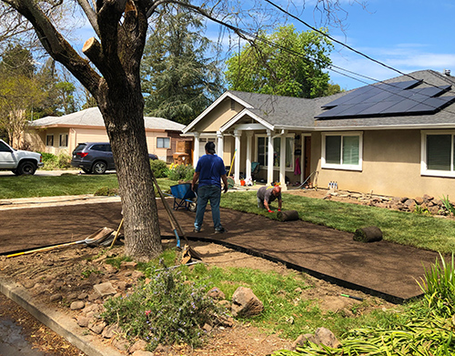 One side of sod laid, the next is half done