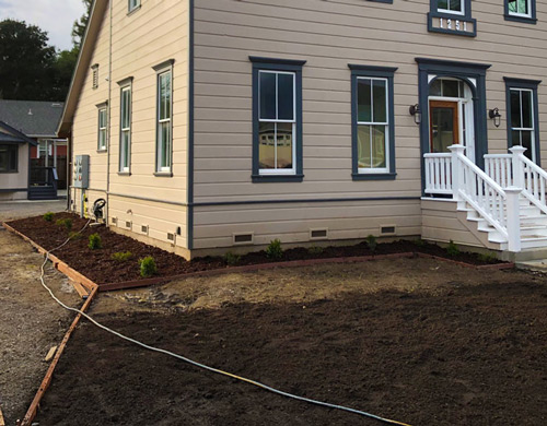 Bark, Benderboard, plants installed