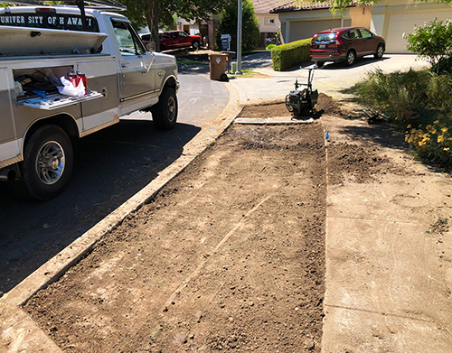 After of removal of old sod