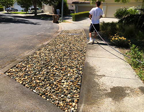 Rinsing the dust off the new rocks - the color pops nicely