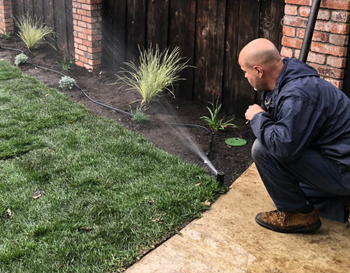 Robert, our irrigation specialist is calibrating sprinklers at a new sod install site in East Napa