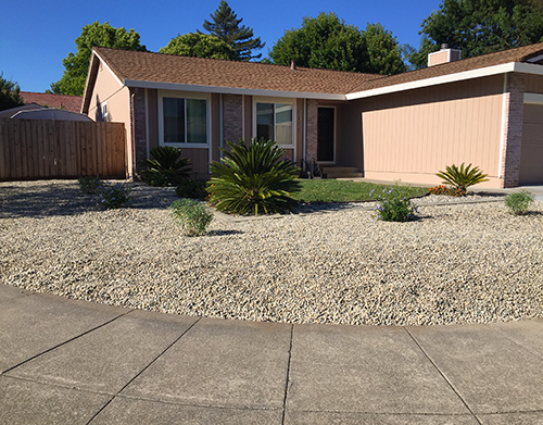 A large L-shaped front yard covered in salt and pepper rocks with four flowering plants spread out - a minimalist approach